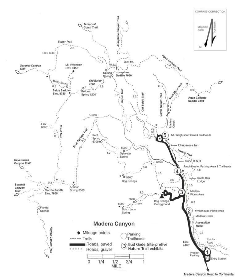 Madera Canyon-Proctor Road - eBird Hotspots