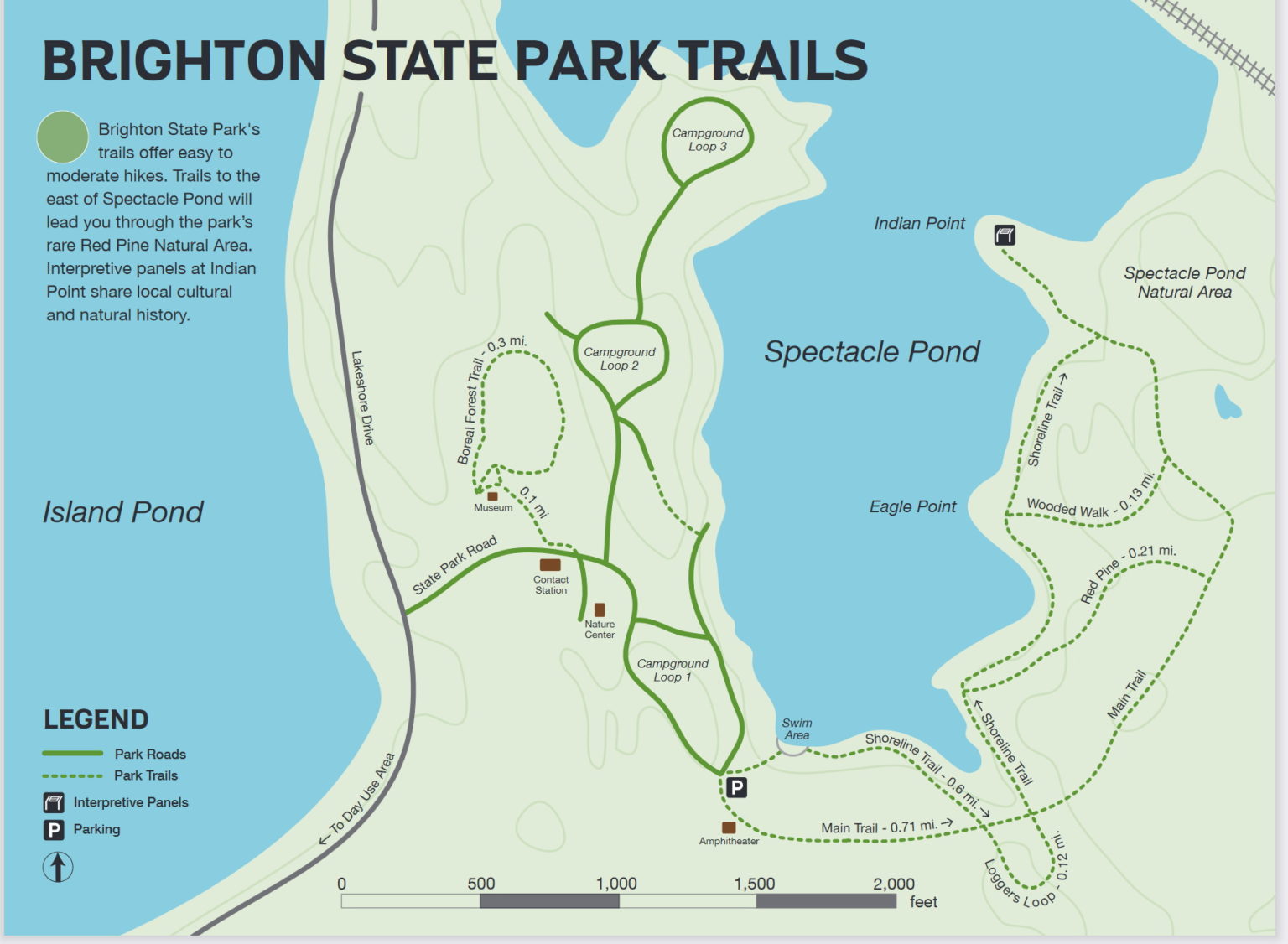 Spectacle Pond, Brighton eBird Hotspots