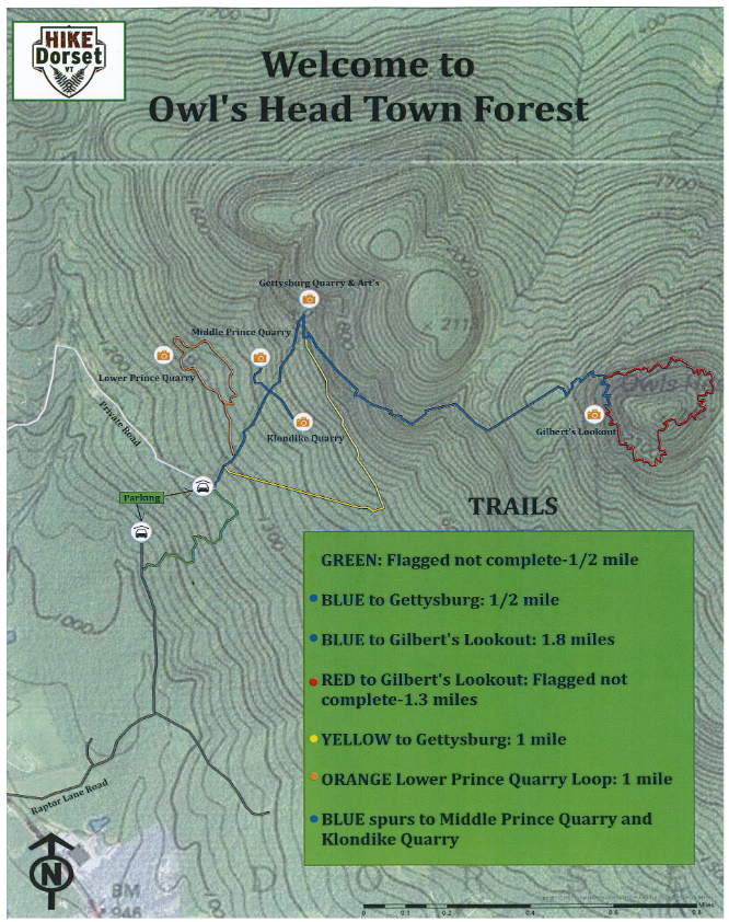 Owls Head Town Forest Birding Hotspots