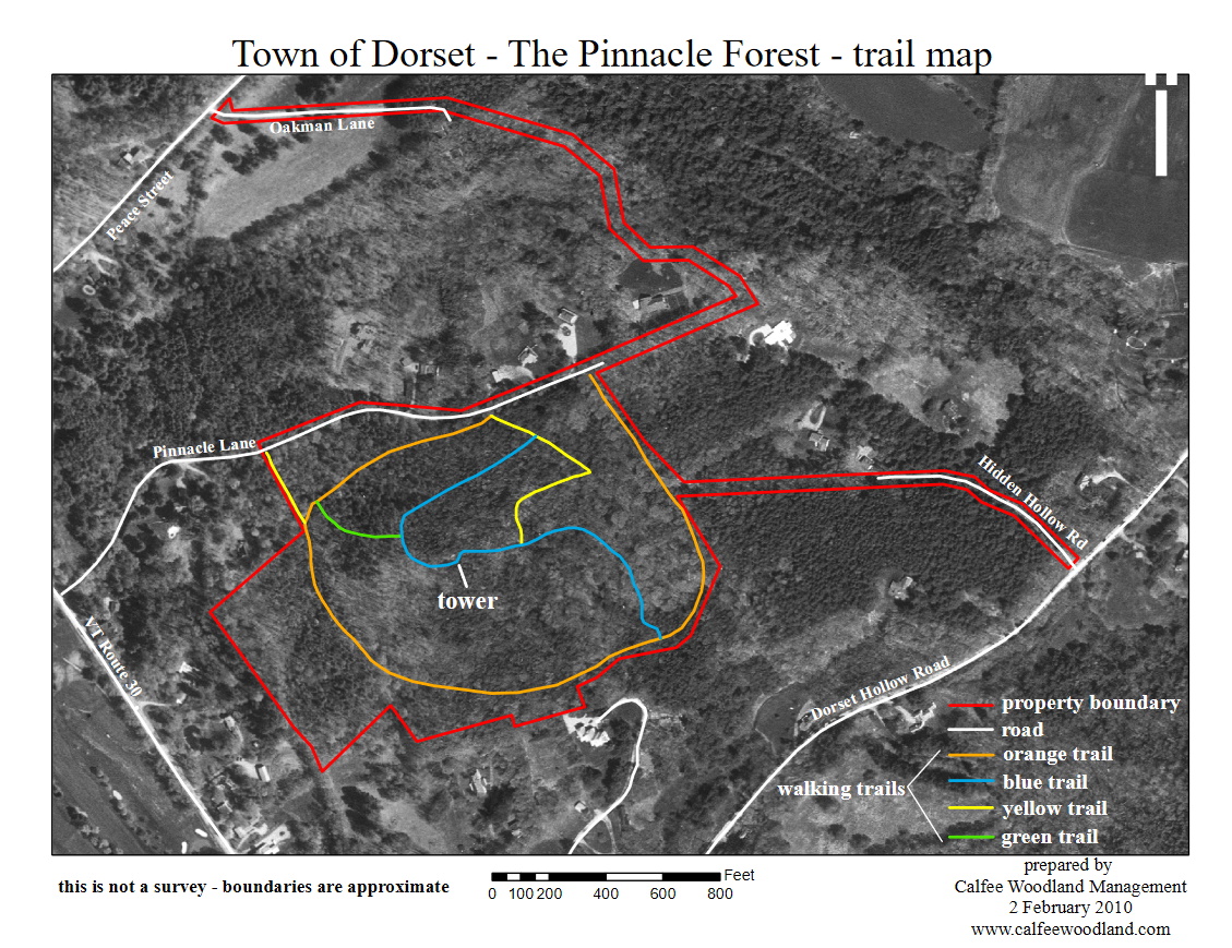 The Pinnacle Forest Birding Hotspots