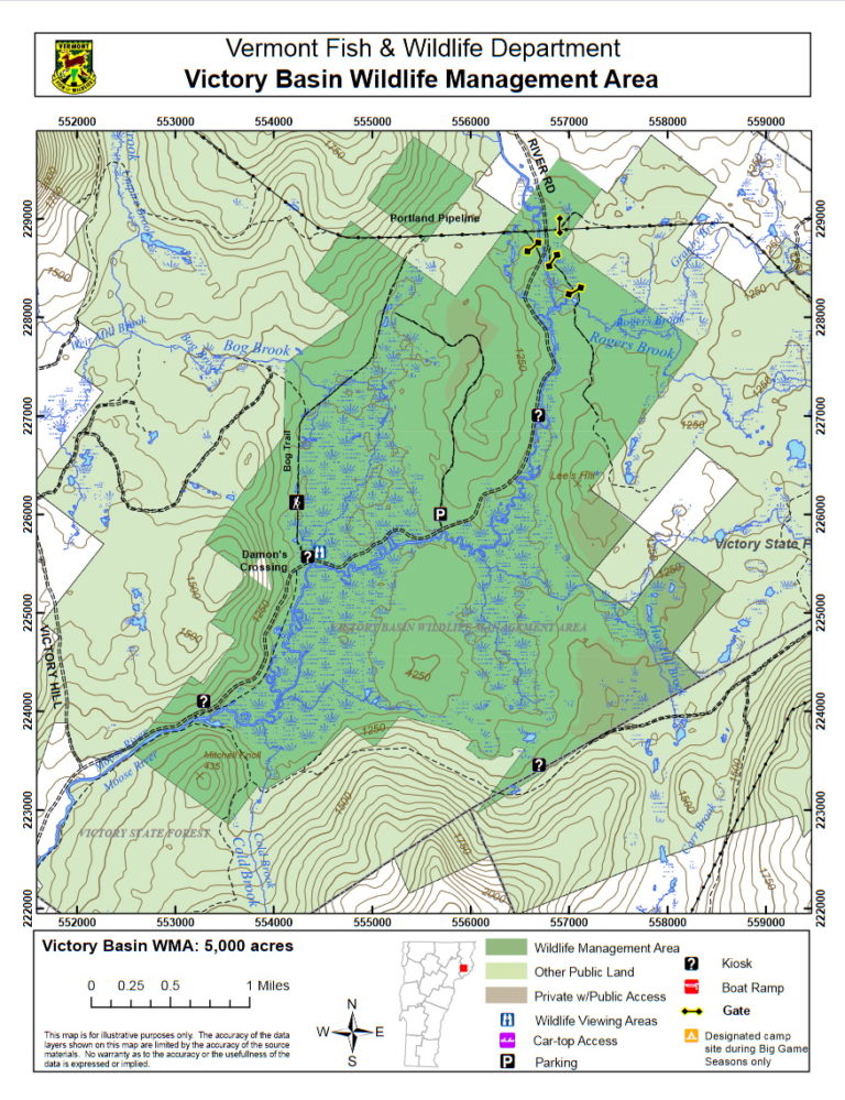 Victory Basin Wildlife Management Area-Bog Trail - Birding Hotspots