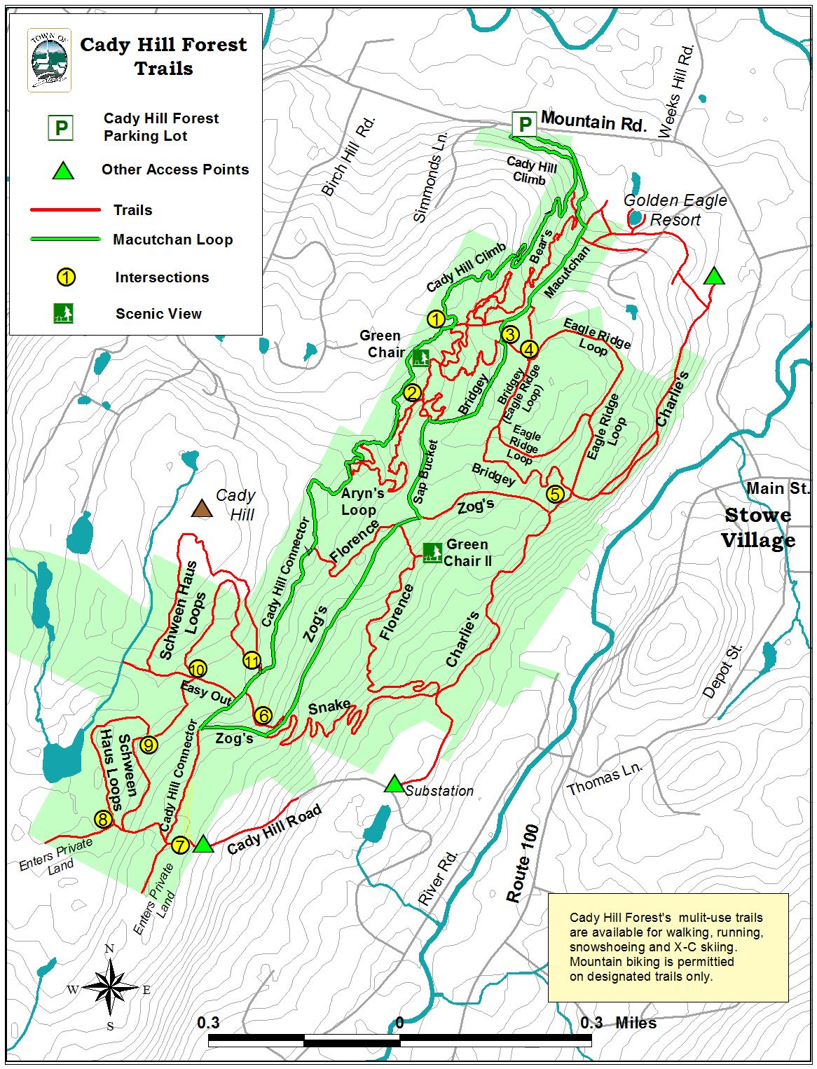 Cady Hill Forest - Birding Hotspots