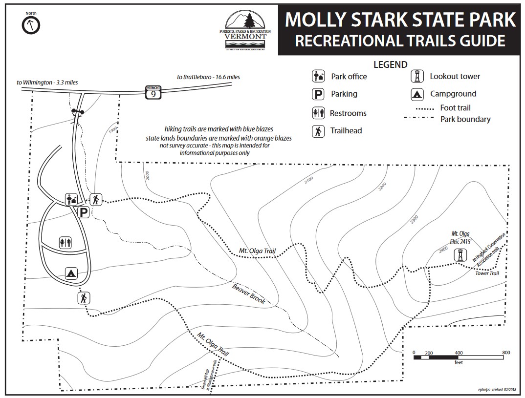 Molly Stark State Park - Birding Hotspots