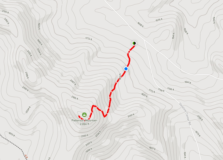 Patterson Mountain Birding Hotspots