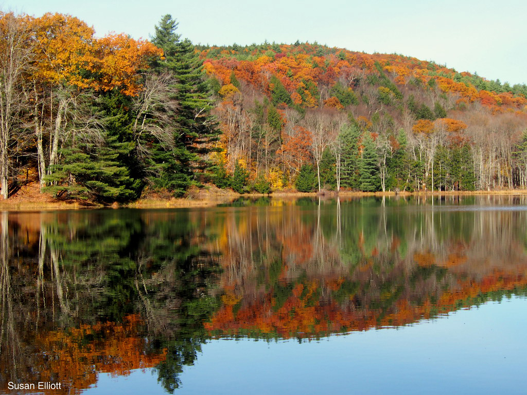Half Moon Pond, Hubbardton Birding Hotspots