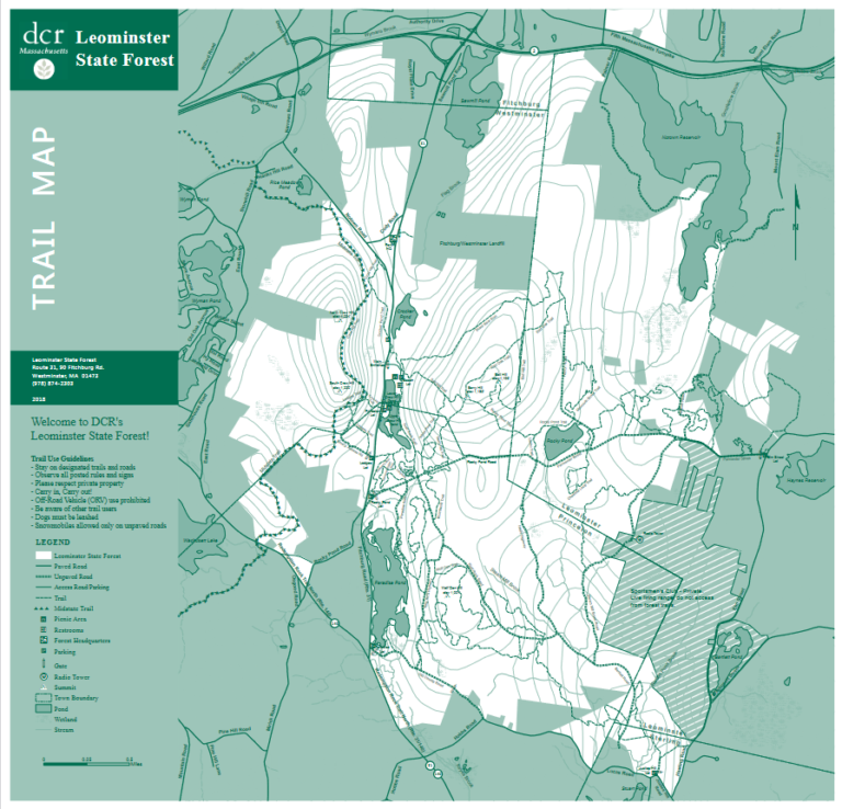 Leominster State Forest Birding Hotspots