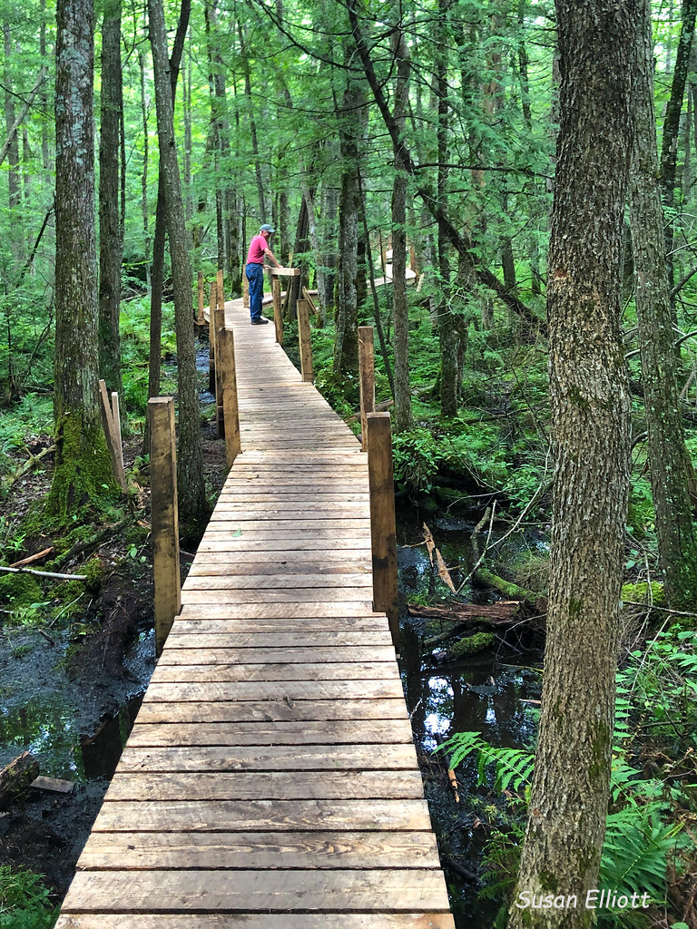 West Rutland MarshWhipple Hollow Trail Birding Hotspots