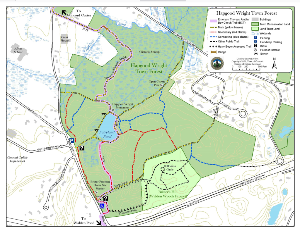 Hapgood Wright Forest - Birding Hotspots