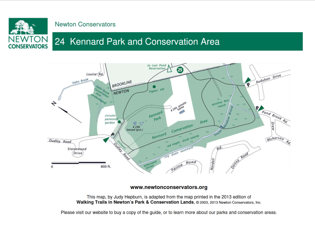 Kennard Park Birding Hotspots