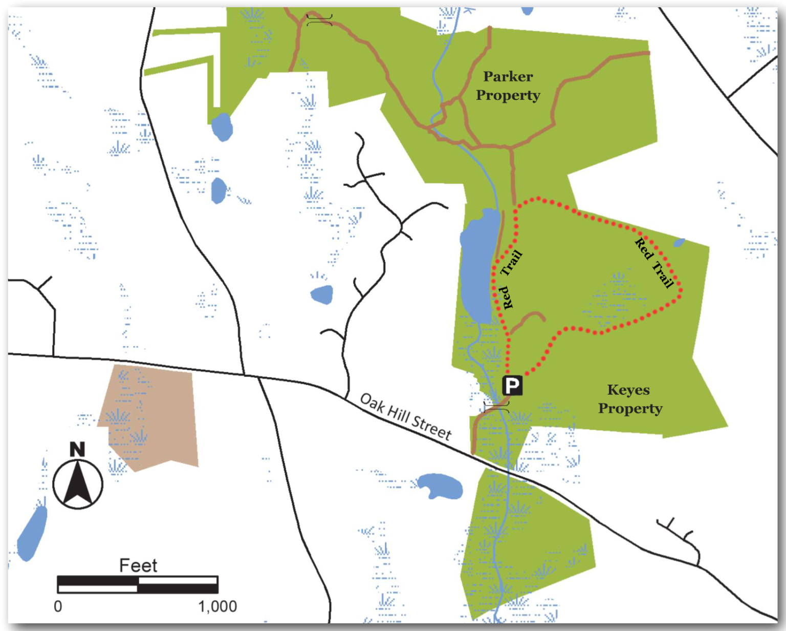 Keyes-Parker Conservation Area - Birding Hotspots