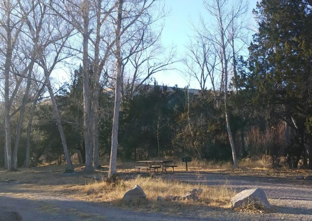 Kingston Campground Birding Hotspots