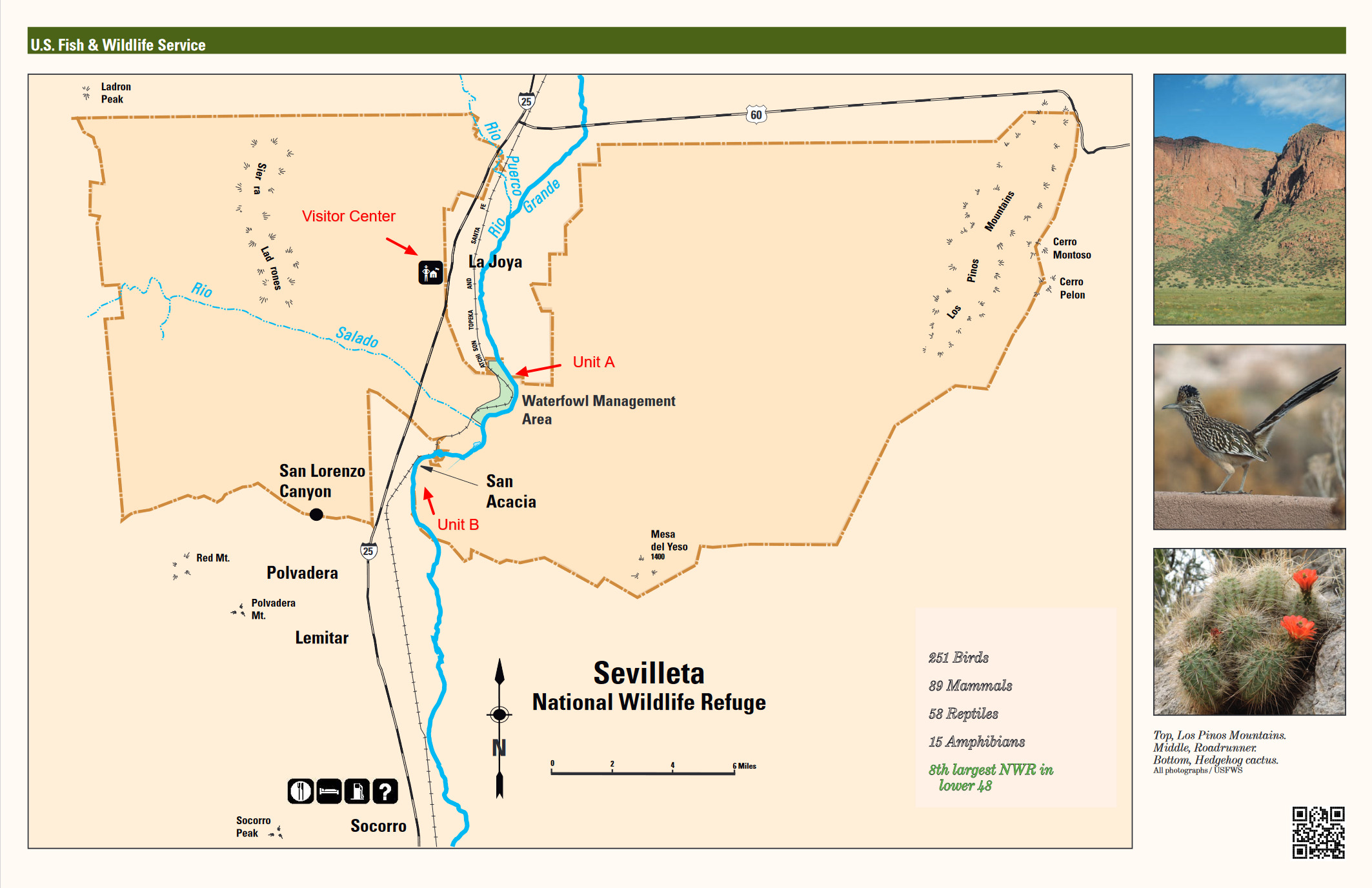 Sevilleta National Wildlife RefugeUnit B Birding Hotspots