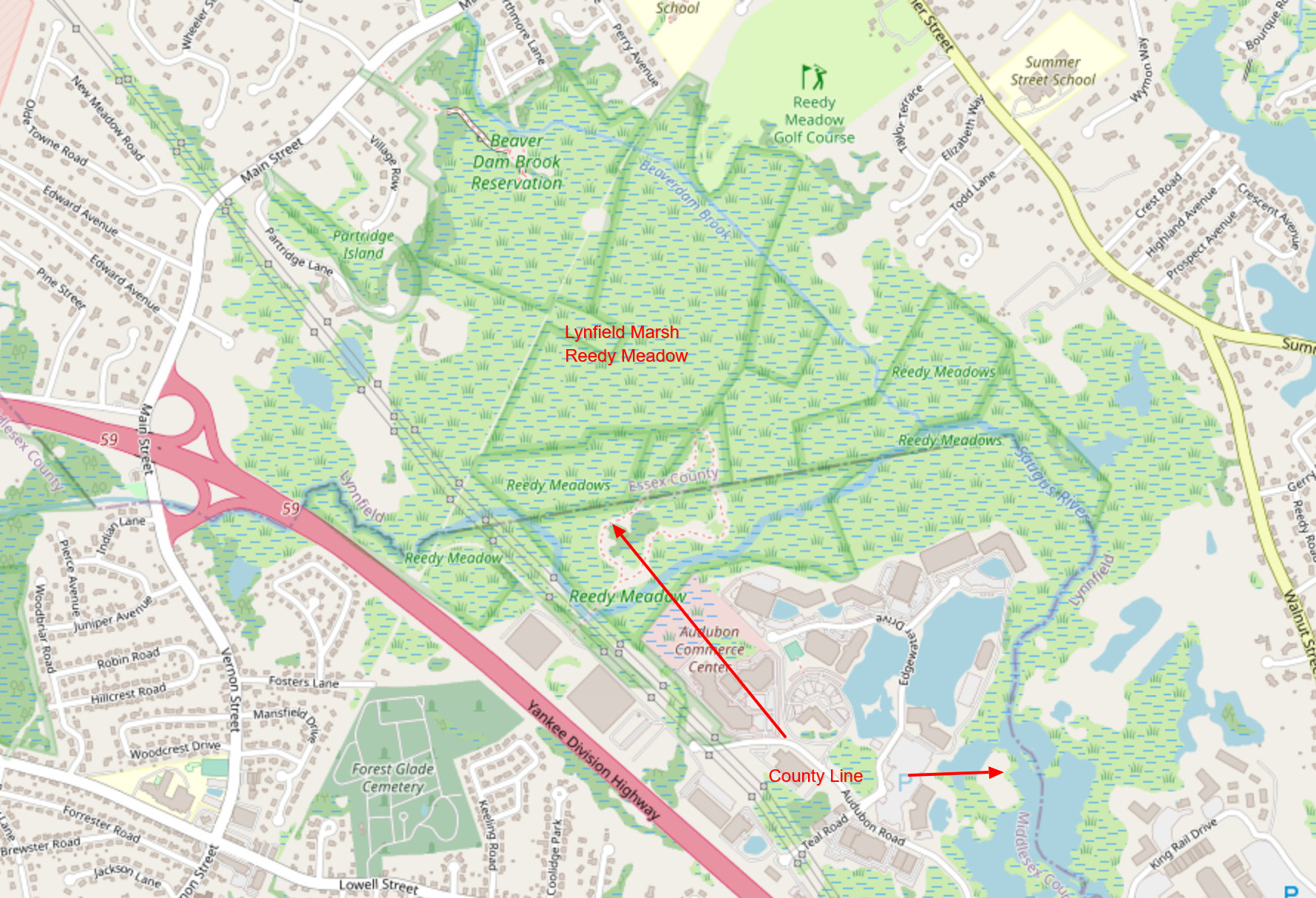 Lynnfield Marsh, Reedy Meadow - Birding Hotspots