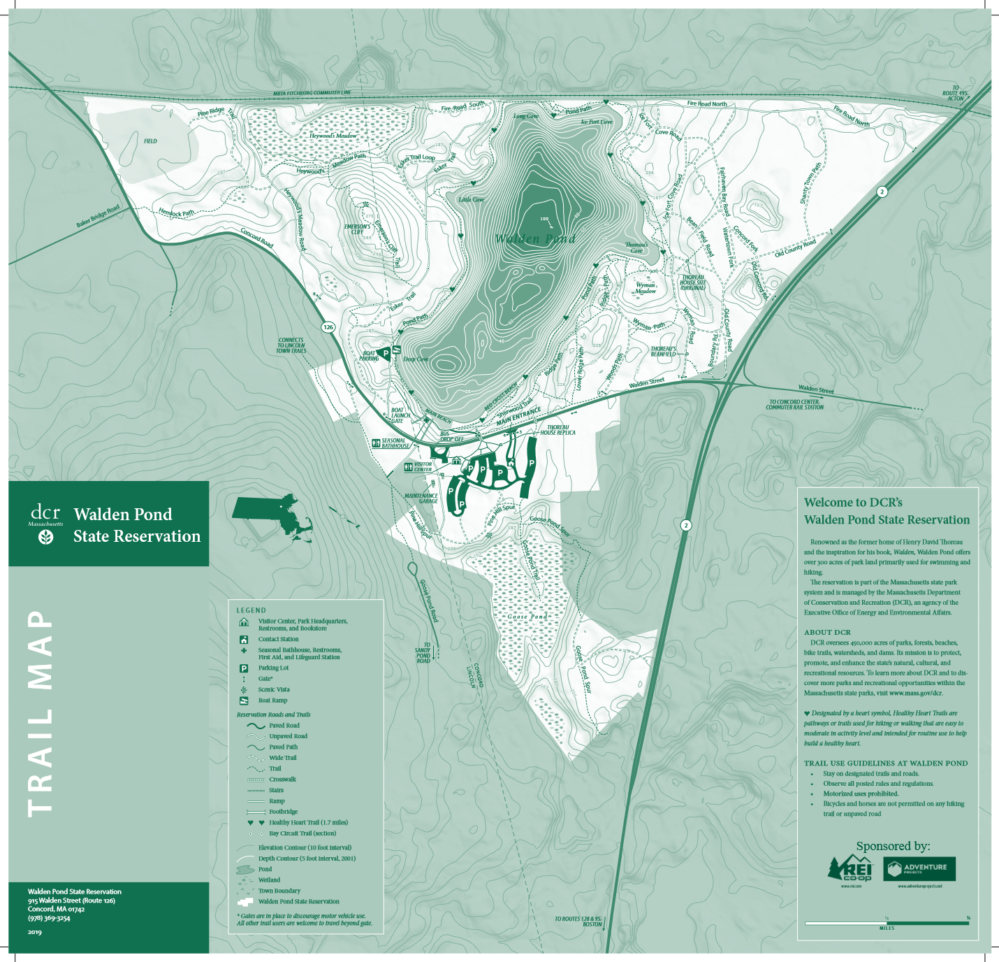 Walden Pond, Concord Birding Hotspots