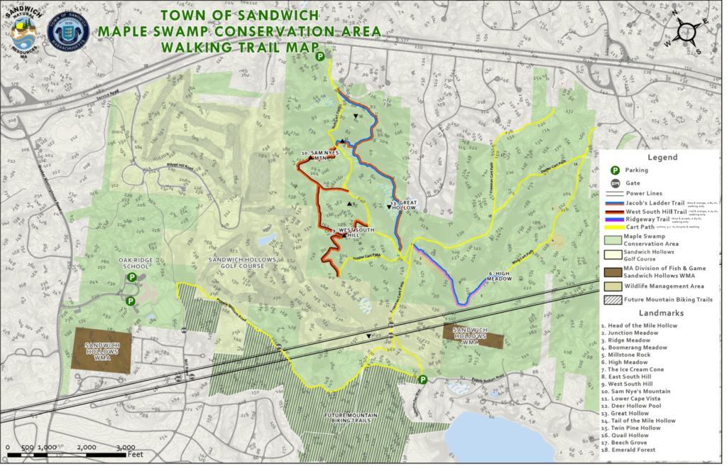 Maple Swamp Conservation Area - Birding Hotspots